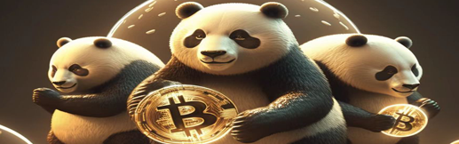 香港数字金融Web3.0生态ESG PANDA NFT出圈